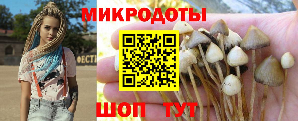 Галлюциногенные грибы прущие грибы  Галлюциногенные грибы ЛСД  Вход с VPN  Заринск 