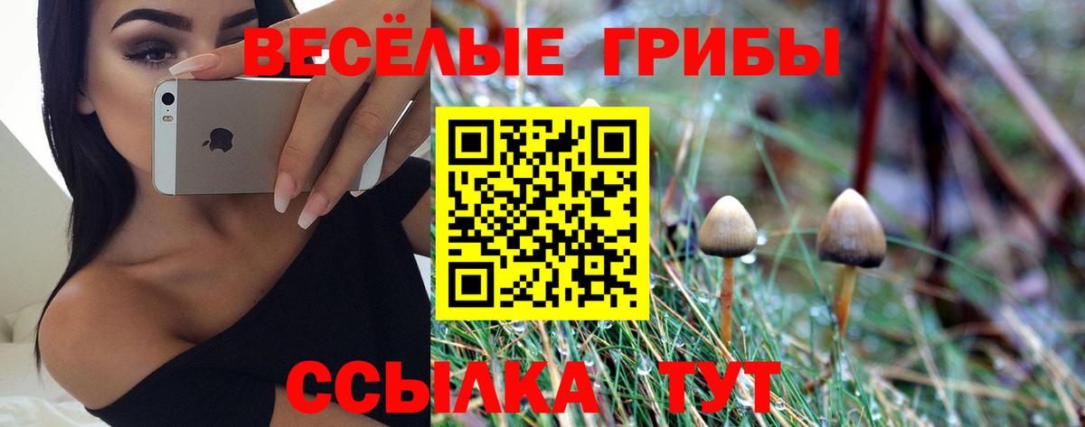Галлюциногенные грибы прущие грибы Заринск